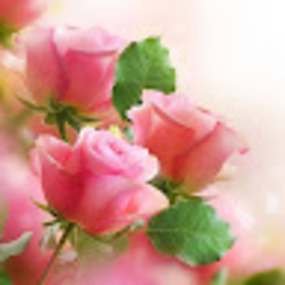 t_mohammad